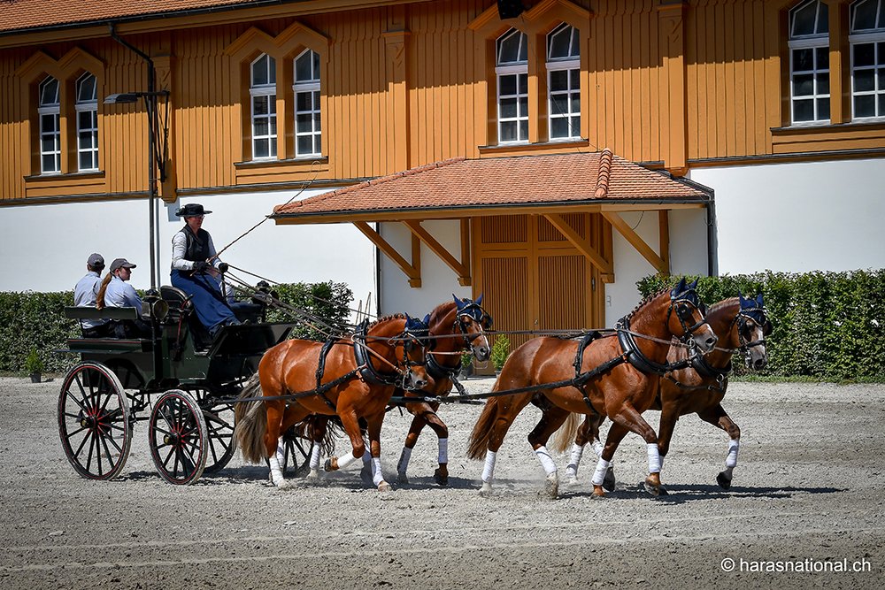 Switzerland2
